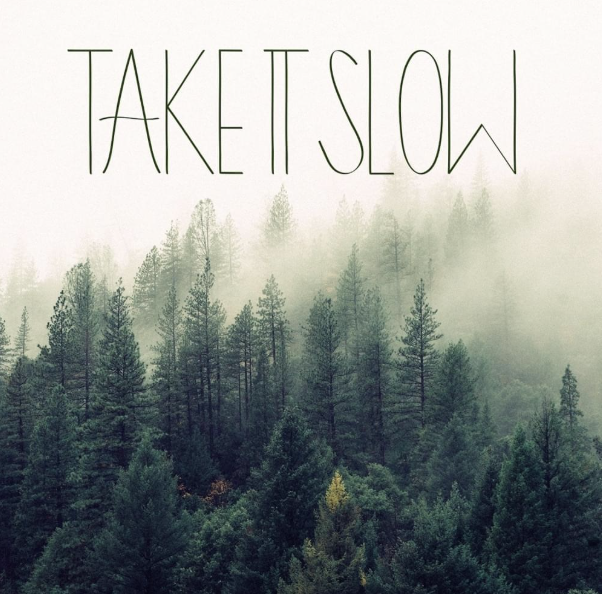 misty forest with text overlay: take it slow